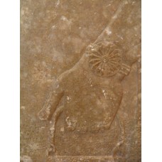 Genie in front of a tree of life, solar disc on the wrist